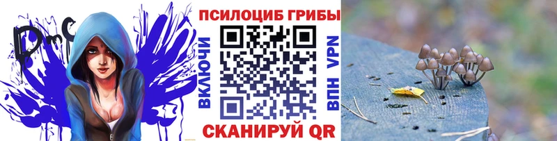 Галлюциногенные грибы мухоморы  ОМГ ОМГ сайт  Черноголовка 