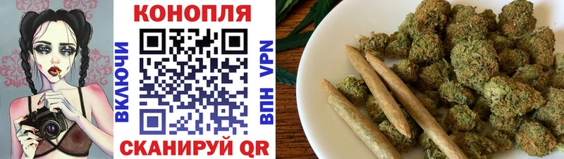 Конопля Amnesia купить цена Черноголовка